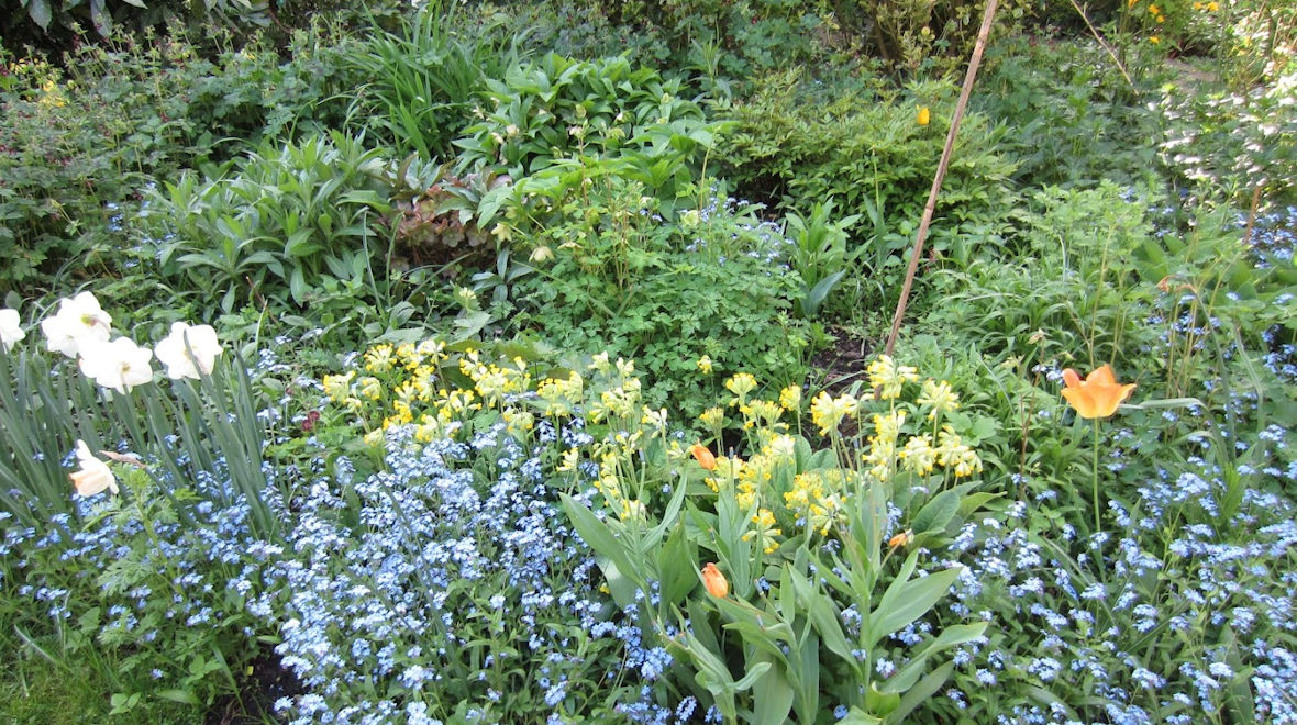 laat je tuin hele jaar bloeien - versie B