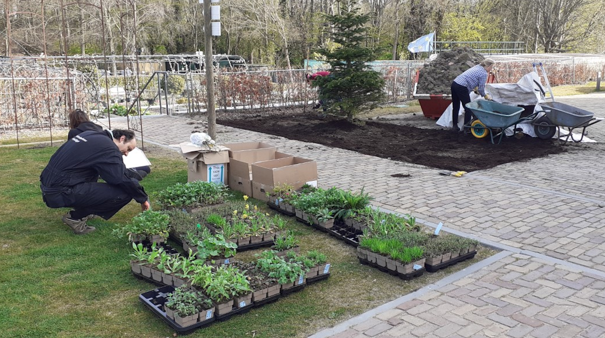 Aanleg VB tuin Ock2