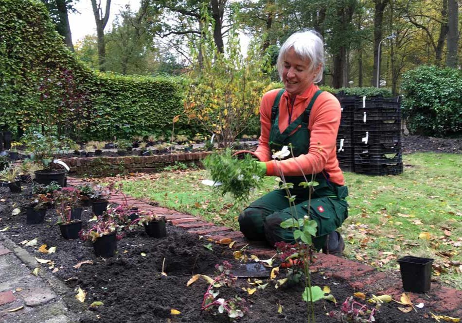 Marian van den Beitel aan het planten in de herfst